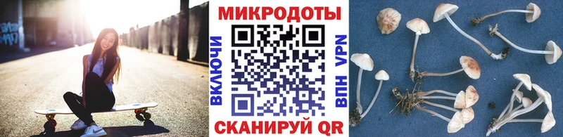 Галлюциногенные грибы MAGIC MUSHROOMS Тулун