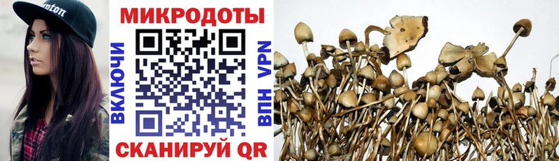 omg ТОР  Тулун  Псилоцибиновые грибы GOLDEN TEACHER 
