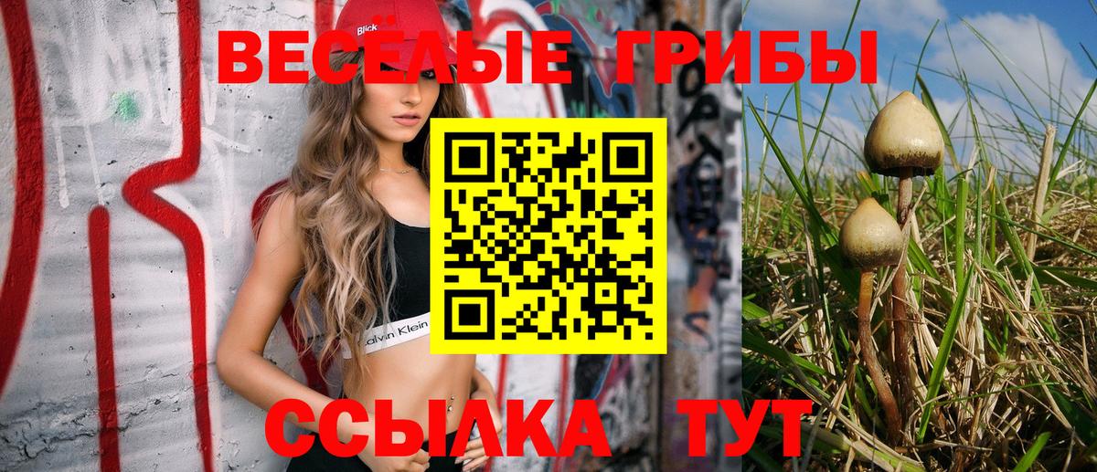 Галлюциногенные грибы GOLDEN TEACHER  Псилоцибиновые грибы Cubensis  Вход с VPN  наркошоп  Тулун 