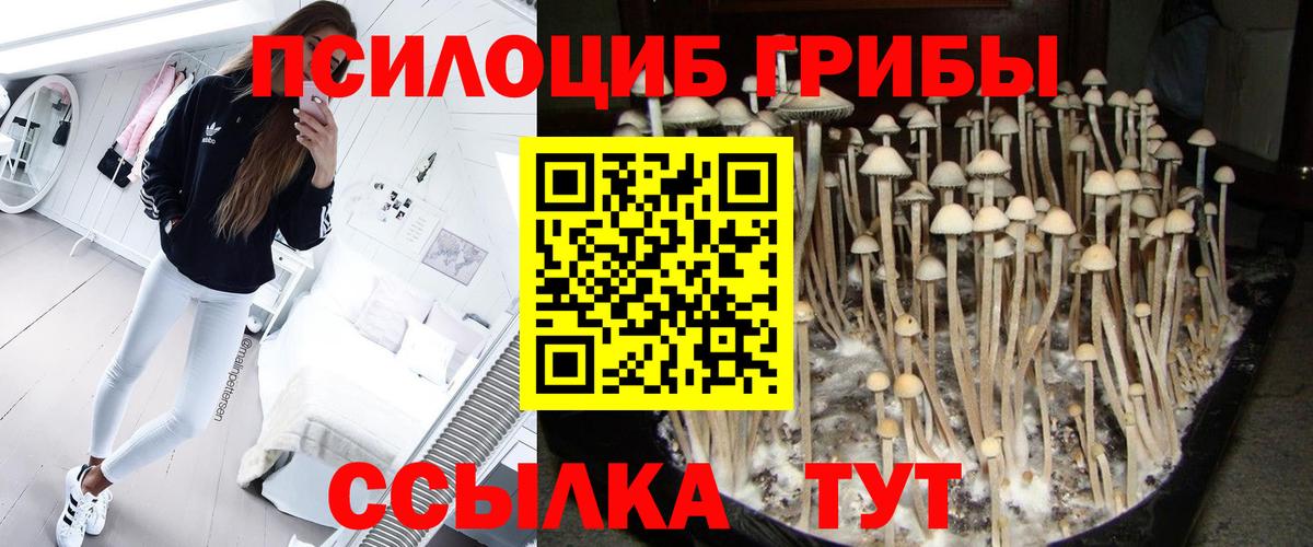 Псилоцибиновые грибы MAGIC MUSHROOMS  Тулун  Псилоцибиновые грибы мицелий 