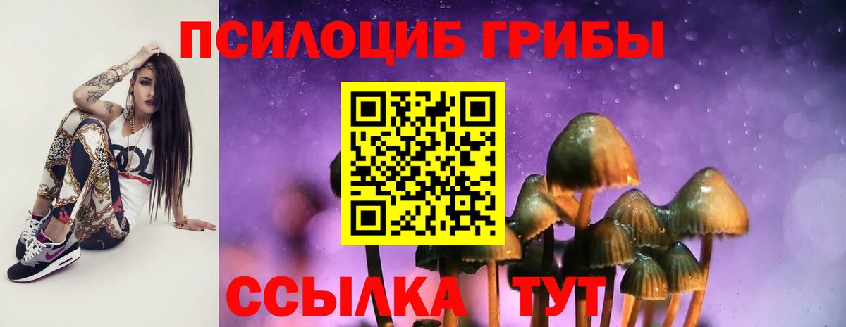 Галлюциногенные грибы мухоморы Тулун